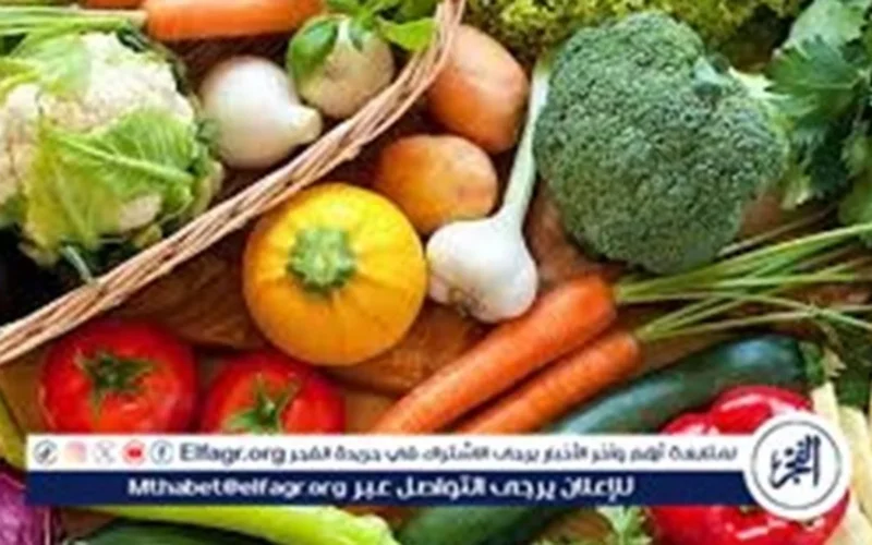 تراجع طماطم وارتفاع ليمون في أسواق المنيا الخميس 15 يناير